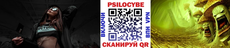 Псилоцибиновые грибы Psilocybine cubensis  Дно 